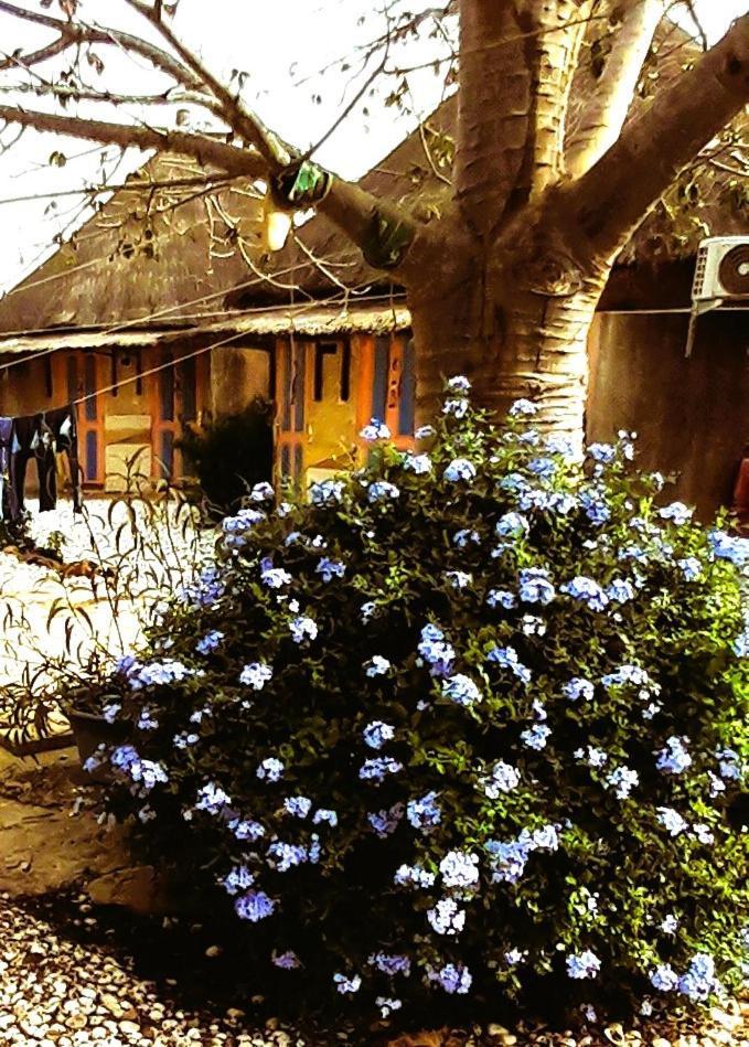 Le Chamama Hotel Niaga Exterior foto